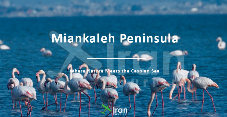 Miankaleh Peninsula