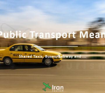 Public Transport Means